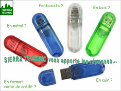 CLE USB Fantaisie, métal, bois, classique, format carte